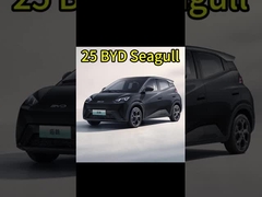 Auto elettriche cinesi