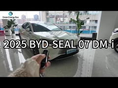 Auto elettriche cinesi