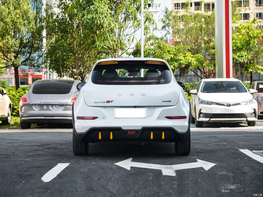 Euler Good Cat GT Chinese EV Cars 401KM Guida assistita Livello L2