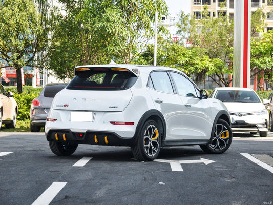 Euler Good Cat GT Chinese EV Cars 401KM Guida assistita Livello L2