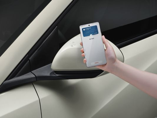 2025 BYD Seagull, guida intelligente aggiornata, configurazione di sicurezza migliorata.