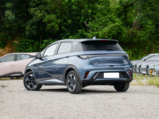 2025 BYD Dolphin, la più perfetta piccola auto elettrica in Cina, con funzione di guida intelligente, autonomia 420-520 km.